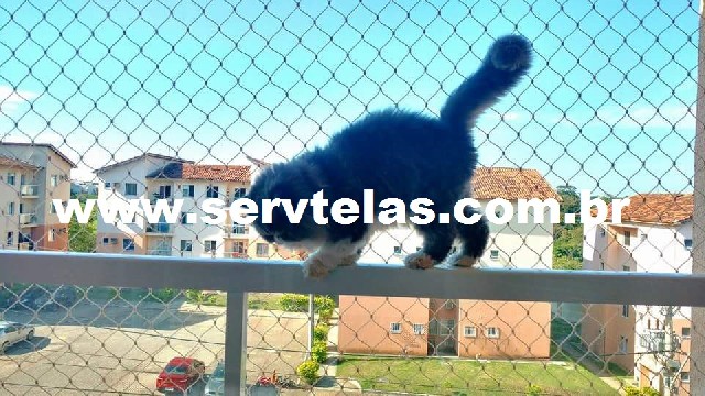 Foto 1 - Rede tela proteção gatos campos goytacazes