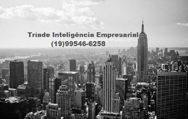 Tríade inteligência empresarial 19 99546-6258